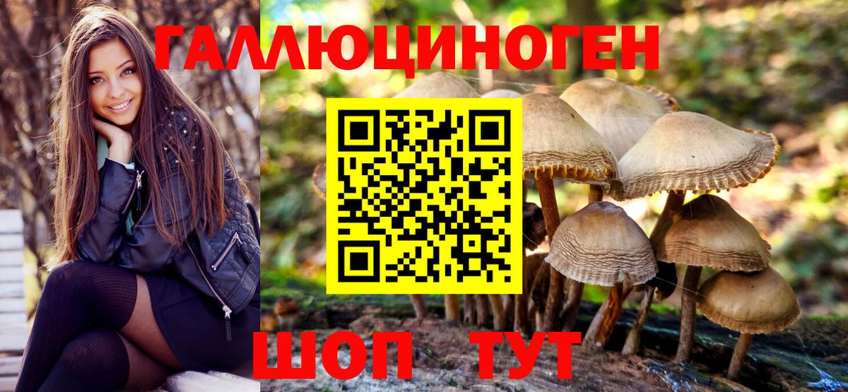 Псилоцибиновые грибы Psilocybine cubensis Череповец