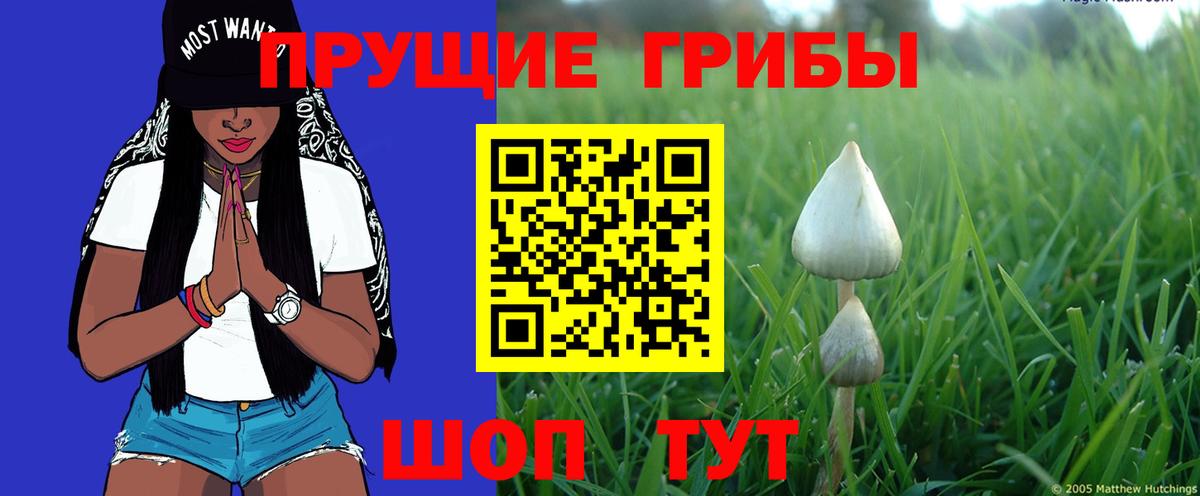 Череповец  сколько стоит  Вход с VPN  Галлюциногенные грибы Psilocybine cubensis 